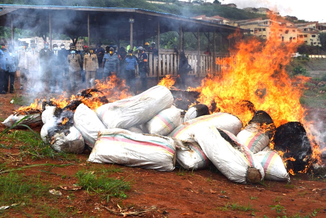 MINAT Boss supervise the destruction of Indian Hemp and commend the collaboration in fighting drugs