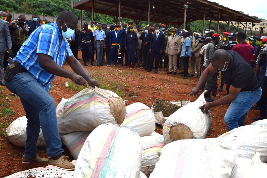 MINAT Boss supervise the destruction of Indian Hemp and commend the collaboration in fighting drugs