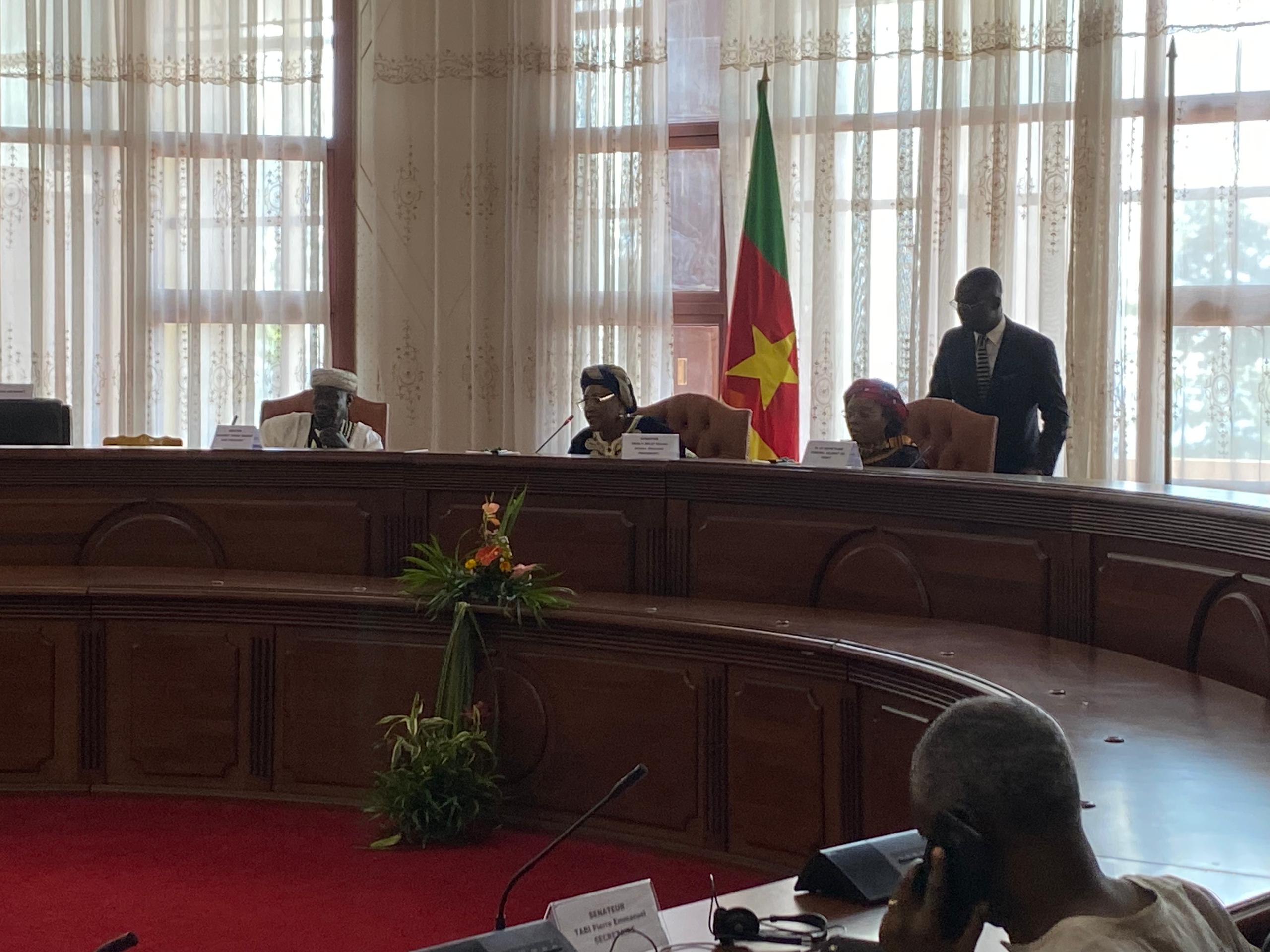 The Minister of Territorial Administration, Atanga Nji Paul, is in front of the Foreign Affairs Committee of the Senate chaired by Senator Okalia Bilai Nicole to defend the bill on the agreement on criminal police cooperation between Central and East African States alongside the Minister of External Relations, Mbella Mbella.