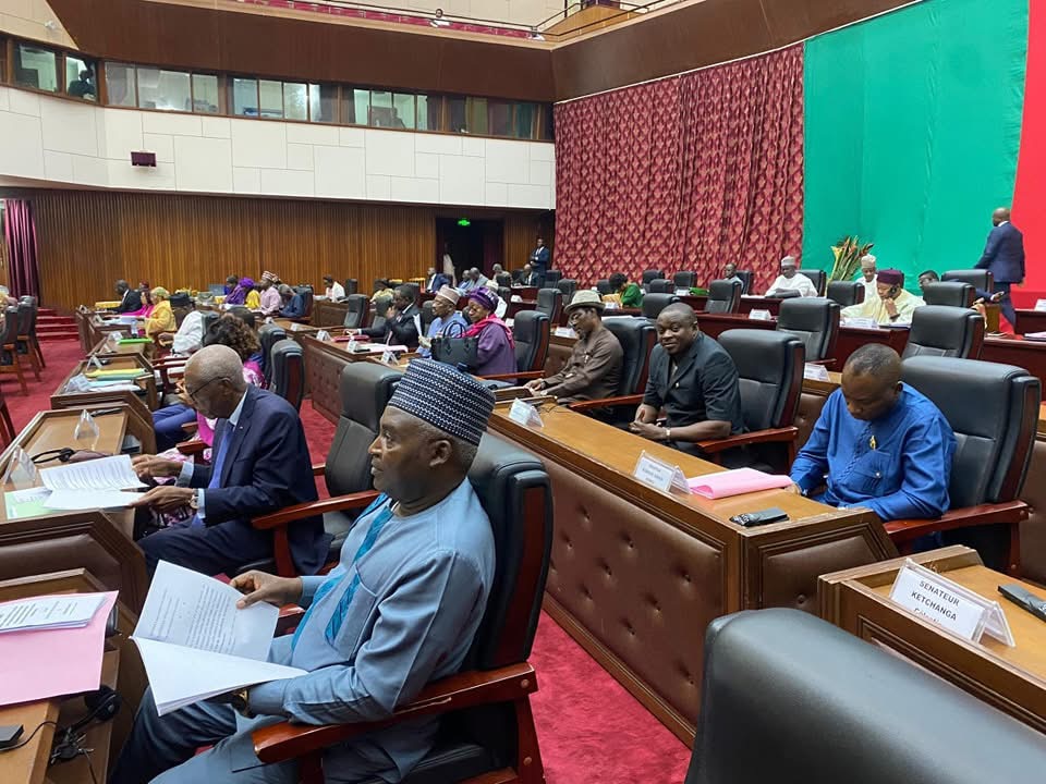 Senate Adopts Bill on Civil Protection Revamp