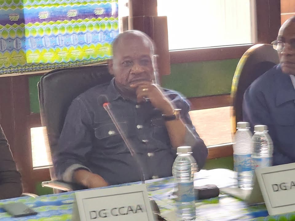 Aéroport international de Garoua :