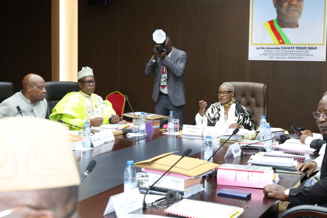 MINAT Proposes 42.069 Billion FCFA Focused on Combating Crime and Insecurity