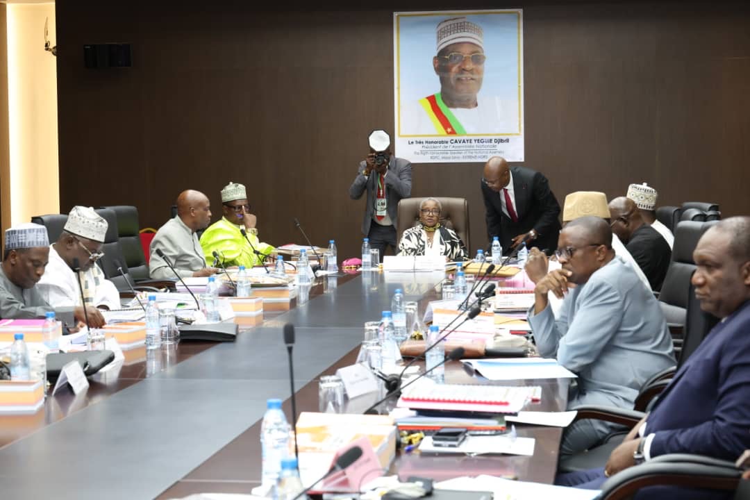 MINAT Proposes 42.069 Billion FCFA Focused on Combating Crime and Insecurity