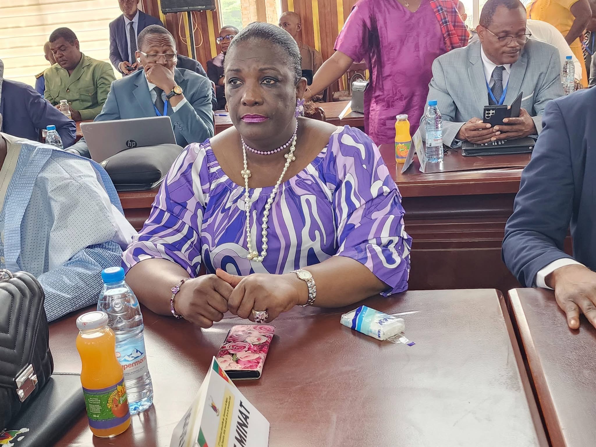 Seconde Conférence Semestrielle des Gouverneurs de Région à Yaoundé : autorités administratives et maintien de l’ordre en période poste électorale