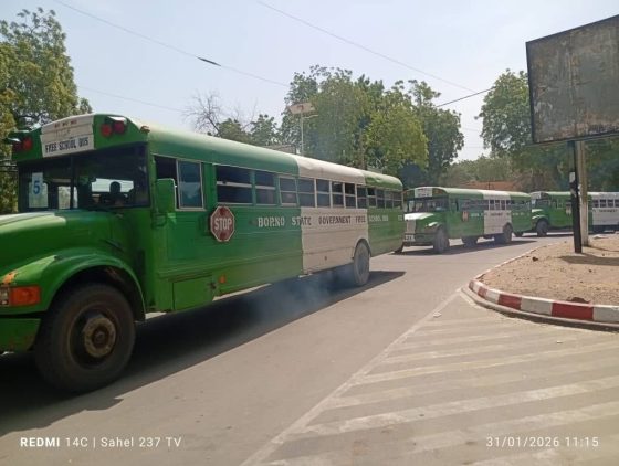 Extrême-Nord : la 3e vague des réfugiés Nigerians quitte le sol camerounais