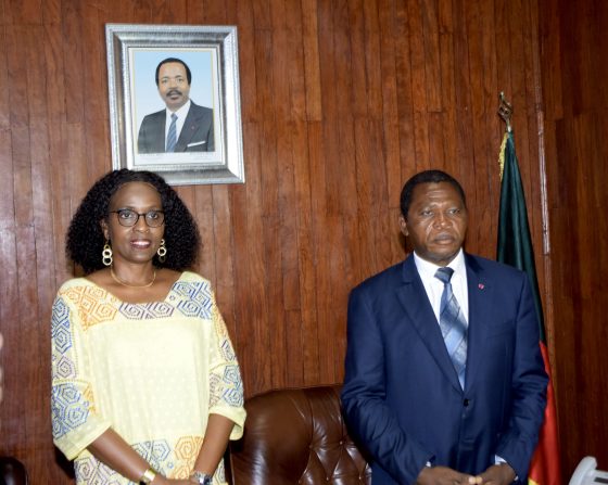 MINAT, UNHCR Discuss Voluntary Repatriation of Central African Refugees