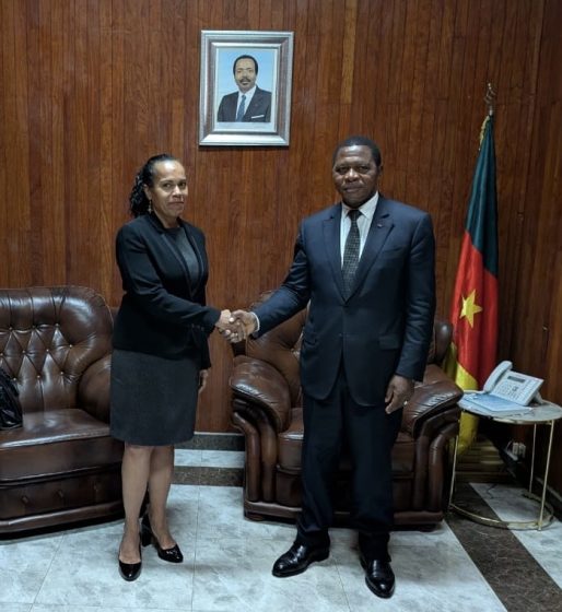 MINAT Holds Cooperation Talks with AFD Country Director