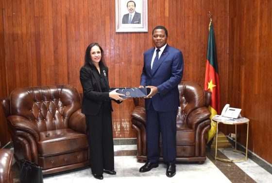 MINAT, Egyptian Ambassador Discuss Enhanced Cooperation