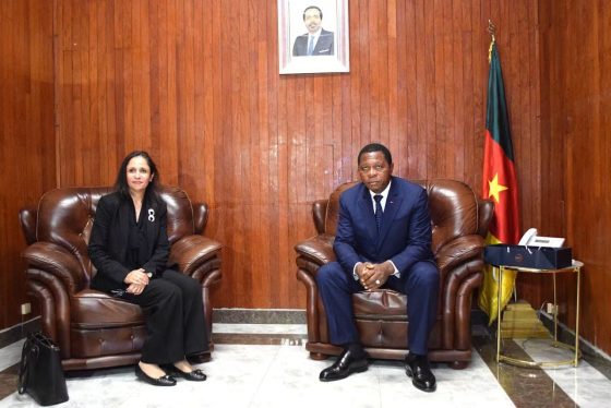 Audience : le Cameroun et l&rsquo;Égypte consolident leur coopération en matière de protection civile, de sécurité et d&rsquo;action humanitaire