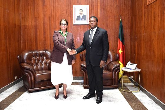Humanitarian Cooperation Takes Centre stage as MINAT’s boss, Atanga Nji, Meets Swiss Ambassador
